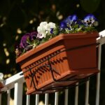 Girona parie sur la biodiversité de ses balcons et terrasses grâce à Gironat