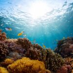 IV Conférence internationale sur le financement du développement: il est urgent d'agir face à la perte de la biodiversité et du réchauffement climatique