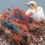 Journée mondiale de l'environnement 2025: La devise de cette année est «sans pollution plastique»