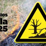Journée mondiale de l'environnement 2025: les écologistes en action accordent ses Atila et Horse Awards