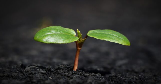 ONG impulsa 'las Áreas Clave para la Biodiversidad en España'