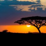 La grande migration humaine hors d'Afrique était après avoir conquis de nouveaux habitats dans ce continent