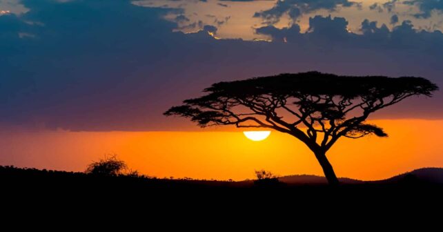 migración humana África hábitats