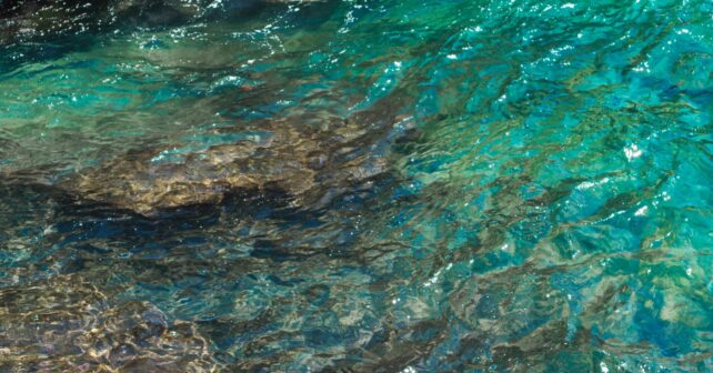 Transición Ecológica estrategias marinas segundo ciclo