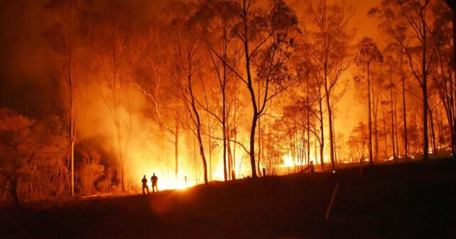 Los incendios forestales en España han experimentado un notable descenso en lo que va de año con respecto a hace una década
