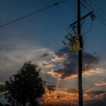 Life Power Line 4 Birds Project: Les citoyens via une application aideront à réduire les décès d'oiseaux dans les lignes électriques