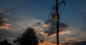 Proyecto Life Power Line Birds ciudadanía aplicación reducir muertes aves tendidos eléctricos
