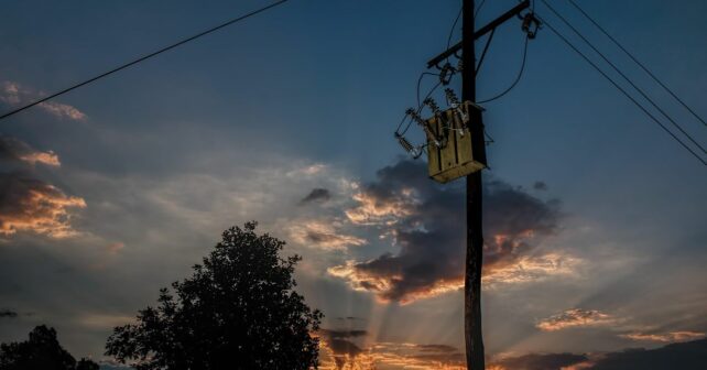 Proyecto Life Power Line Birds ciudadanía aplicación reducir muertes aves tendidos eléctricos