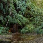 Life Urbaso: Améliorer l'eau en Urdaibai (Bizkaia)