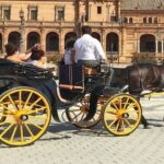 Malaga a interdit aux chevaux de considérer que c'était «la maltraitance des animaux», qu'en est-il des autres villes de l'Andalousie?