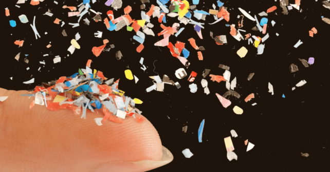 Microplásticos mamíferos países centroeuropeos