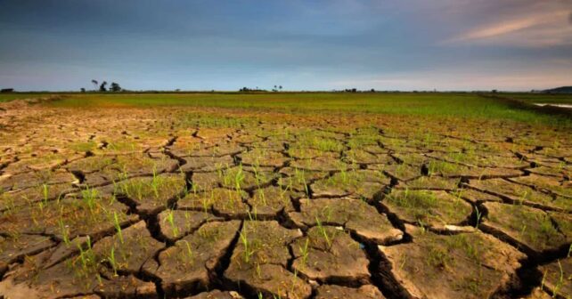 Ya podemos saber cómo será la pérdida de suelo por la erosión dentro de 100 años