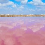 Prendre soin des salinas, c'est protéger la biodiversité et lutter contre le changement climatique