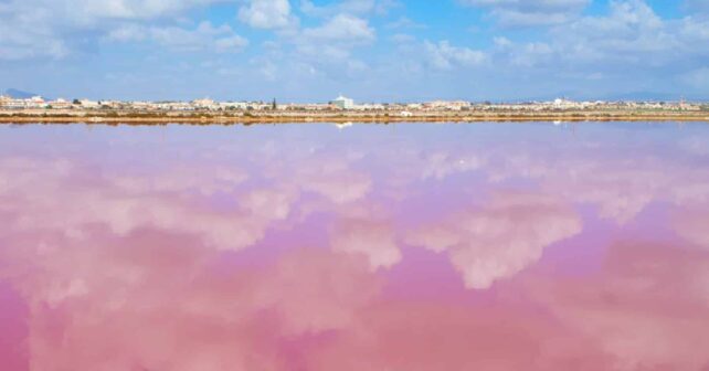 salinas biodiversidad cambio climático