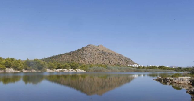 Proyecto RestaurAlcúdia biodiversidad Maristany Estany des Ponts Baleares