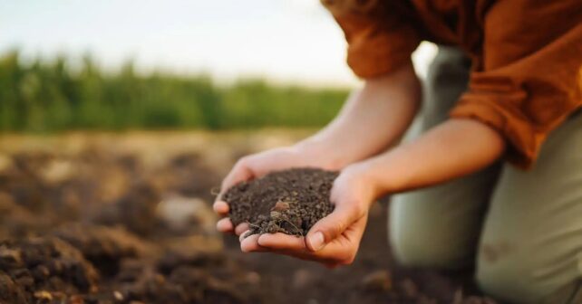 Proyecto pionero para devolver la fertilidad a suelos degradados de Cataluña