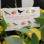 Sachez tout sur les oiseaux qui habitent les fermes de citron et de pamplemousse avec ce guide