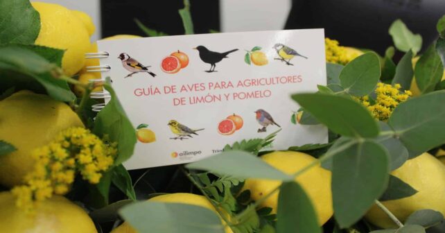 Conoce todo sobre las aves que habitan en las fincas de limón y pomelo con esta guía