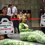 Un «faux serpent» de PETA dénonce à Hong Kong l'horreur après les collections des grandes marques