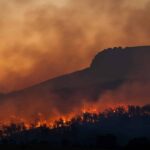 Vous devez investir davantage dans la prévention des incendies de forêt: dit le doyen des ingénieurs de Montes