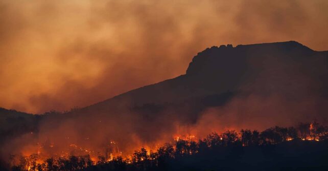 invertir prevención incendios Decano Ingenieros Montes