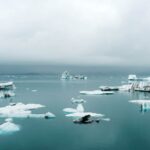 Alerte: diminution de la glace accélérée dans l'océan antarctique par salinité, depuis 2015, l'équivalent de la taille de la Groenlandais