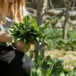 Commerce équitable: les pratiques agricoles et de production respectueuses de l'environnement
