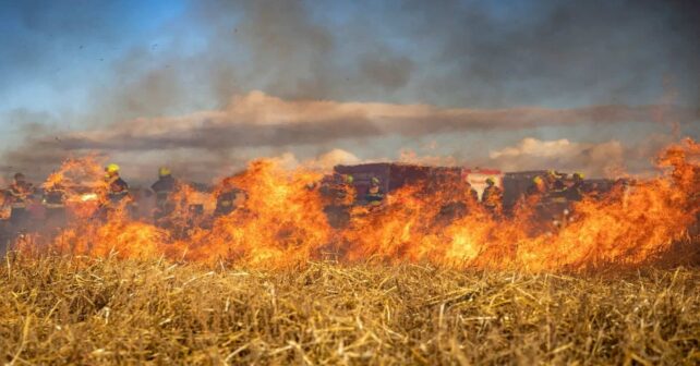 Consejos para granjeros que ayudan a prevenir incendios forestales