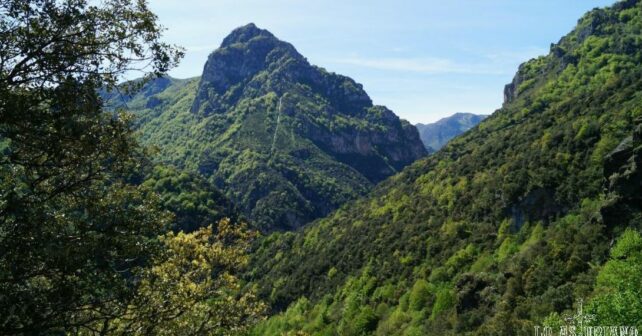 Polémica medioambiental película Juegos Hambre Asturias