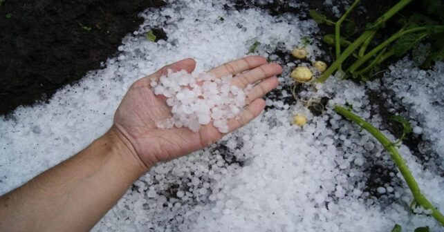 Desde abril España sufre tormentas de pedrisco diarias en algún punto de su geografía