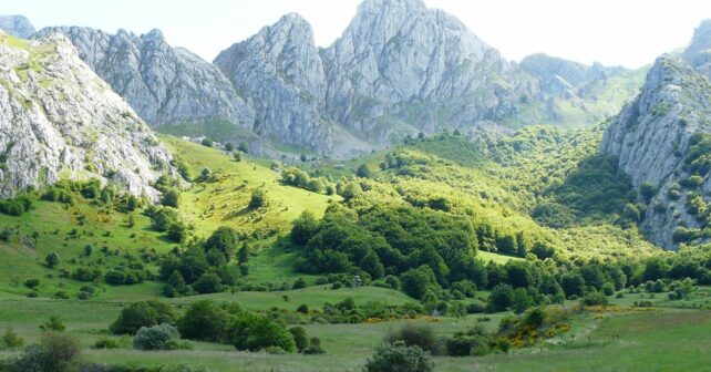 Áreas Importantes Conservación Aves Biodiversidad IBA