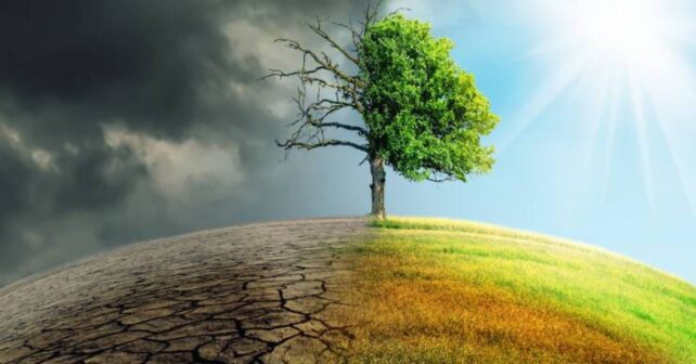 En 4 o 5 años el ecocidio será considerado un delito