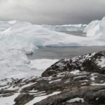 Environnement marin de l'Arctique: le changement climatique favorise les algues nocives pour les écosystèmes et les êtres humains