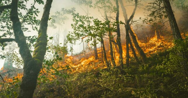 Desalojan más de 100 personas por el incendio forestal en Las Hurdes (Extremadura)