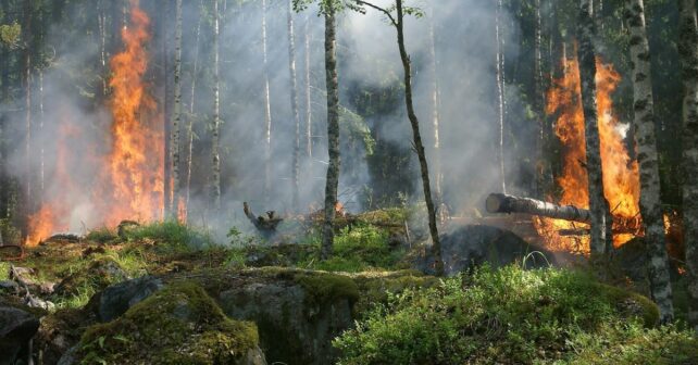 Incendios forestales Ávila
