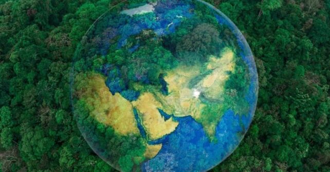Día del Sobregiro de la Tierra 2025 el ser humano habrá consumido todos los recursos que la naturaleza puede regenerar en un año