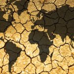 Journée internationale de la conservation des sols 2025: la gestion du substrat doit être améliorée