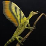 L'évolution des plumes de l'étude d'un reptile Trias