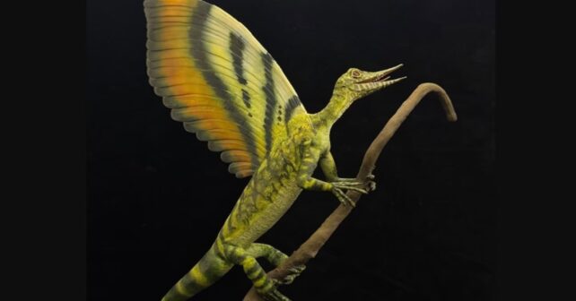 La evolución de las plumas a partir del estudio de un reptil del Triásico
