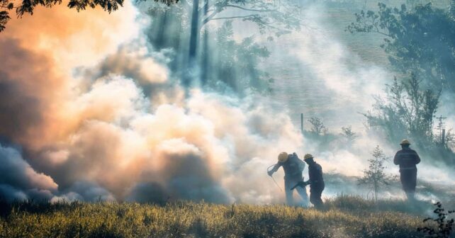 El incendio de Paüls (Tarragona) se lleva por delante la vida de un técnico forestal y 3300 hectáreas calcinadas