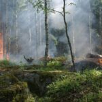 L'incendie de la forêt dans le Barranco de Las Cinco Villas (Ávila) ne laisse pas le choix mais le confinement de Mombltrán