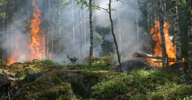 El incendio forestal en el Barranco de las Cinco Villas (Ávila) no deja más remedio que el confinamiento de Mombeltrán