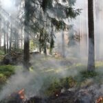 La Bulgarie brûle sur les quatre côtés, 236 incendies de forêt actifs