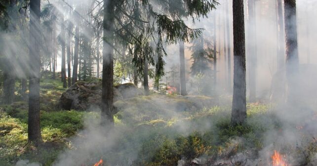 bulgaria-incendios-forestales-activos