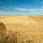 Le nouveau PAC blesse le monde rural et la nature