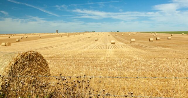 pac perjudica mundo rural naturaleza