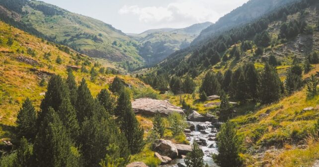 El Pirineo de Huesca albergaba osos de las cavernas se han encontrado sus fósiles
