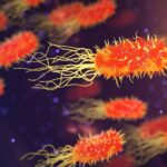 Les bactéries extrémophiles survivent 3 décennies dans un environnement toxique et changent les perspectives de la science