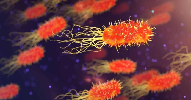 Bacterias extremófilas sobreviven 3 décadas en un medio tóxico y cambian las perspectivas de la ciencia