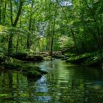 Les budgets de l'Europe post-2027 «tournent le dos à la nature